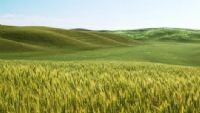 Politique agricole commune : sauver la composante « verte ». Du 18 au 19 juin 2012. 